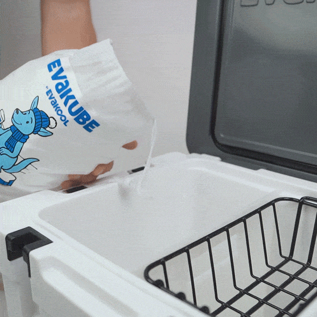 40L Alpine Cooler